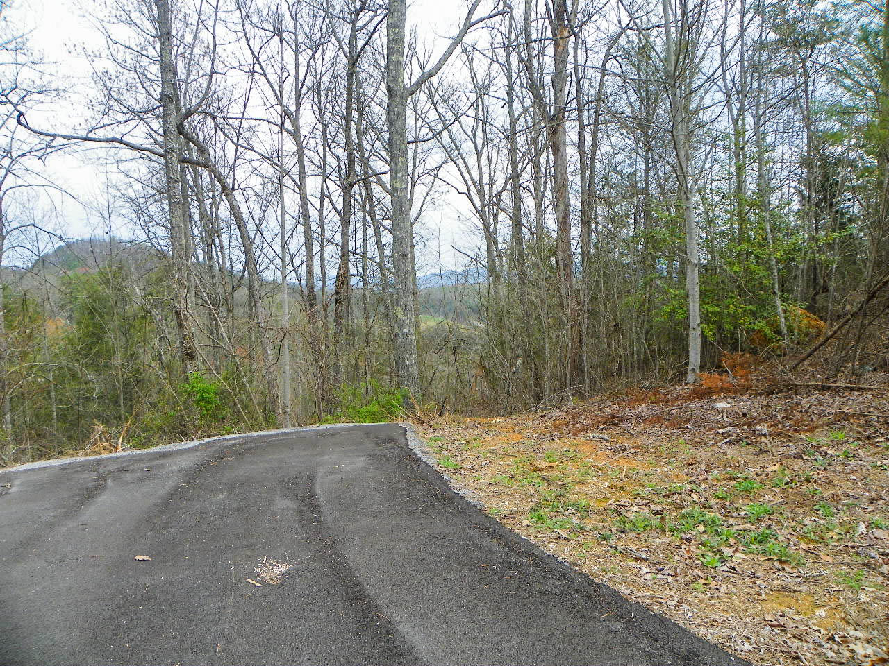 Lot#6 Shadyview Ridge Road Sevierville, TN 37876 - Photo 6 of 8 103_3262