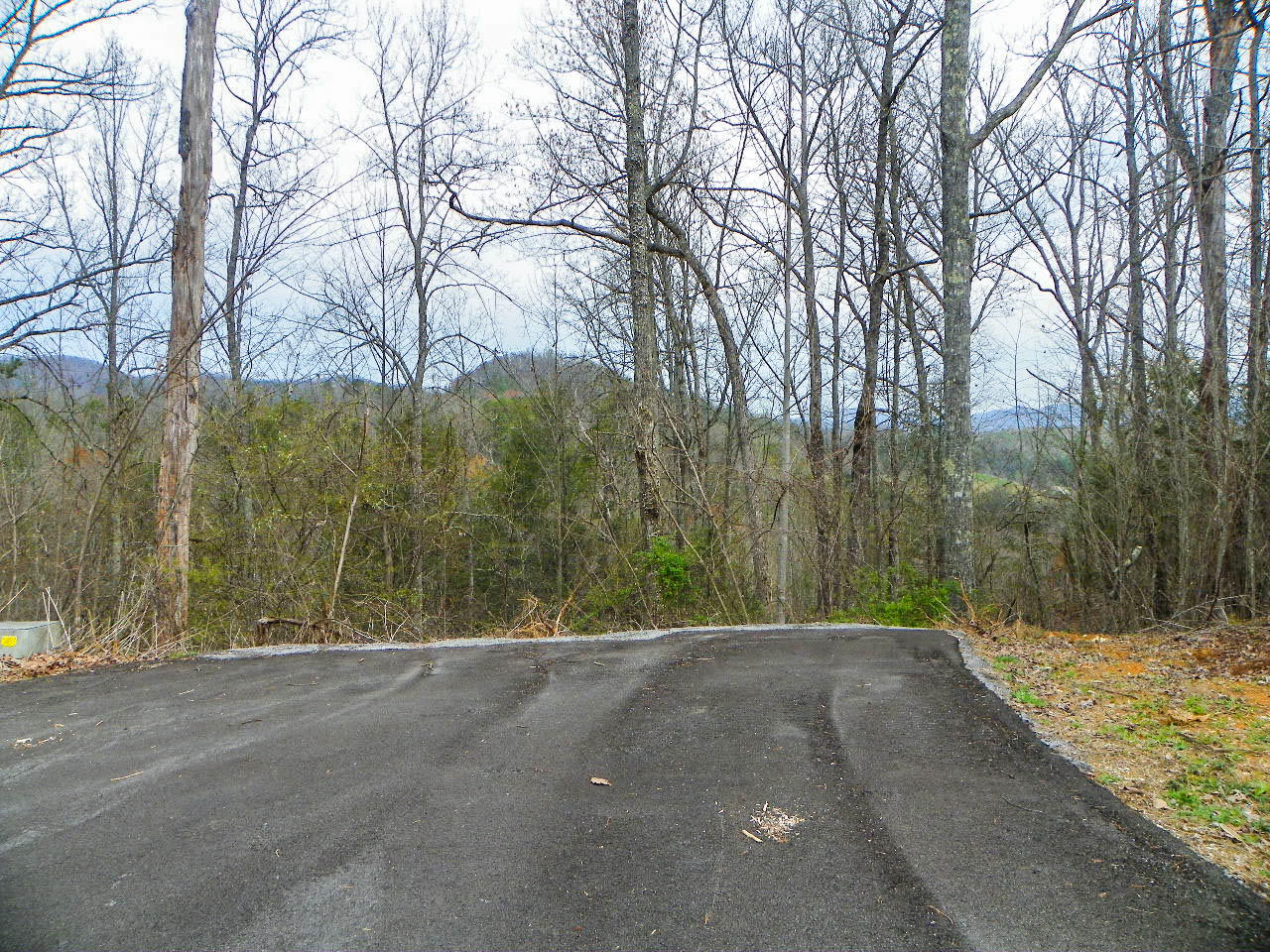 Lot#6 Shadyview Ridge Road Sevierville, TN 37876 - Photo 7 of 8 103_3261