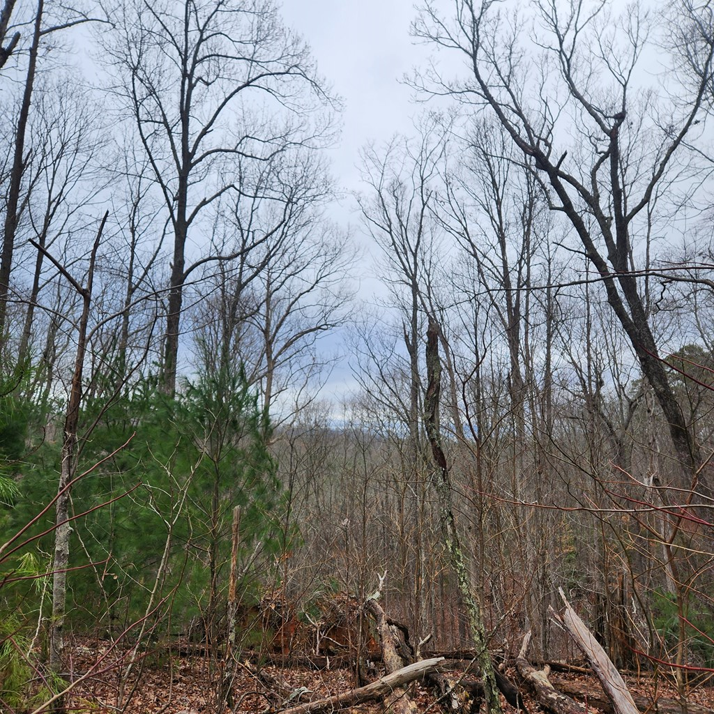 7.72-ac Tower Road Mineral Bluff, GA 30559 - Photo 13 of 16 Gallery Image 13