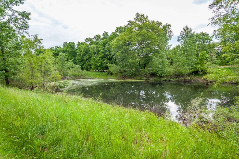 9302 Eaton Rapids Road Springport, MI 49284 - Photo 44 of 46 _MG_0046