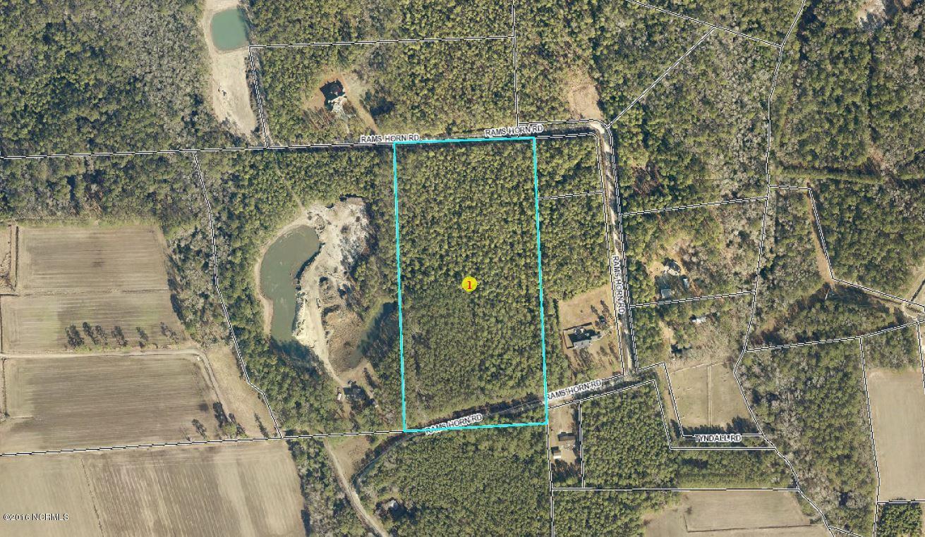 300 Rams Horn Road Newport, NC 28570 - Photo 1 of 1 300-Rams-Horn-Rd