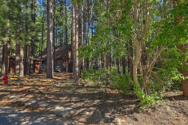 a view of a house with a tree