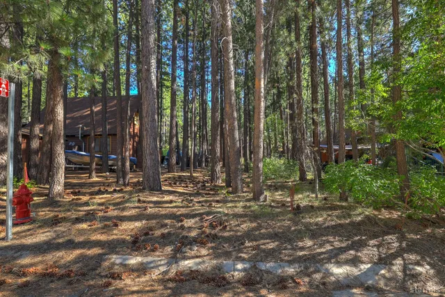 a view of outdoor space with green space