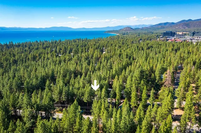 a view of a lush green forest with a houses