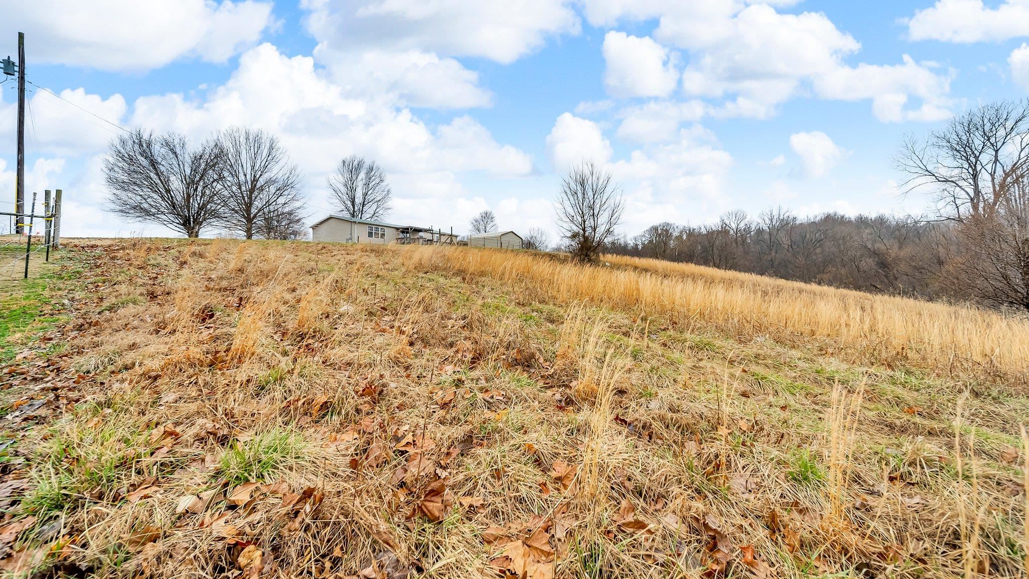 296 Adkins Road Burlison, TN 38015 - Photo 27 of 28 Back Property and view of home.