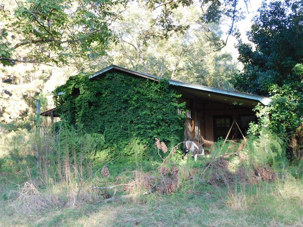 2600 Columbia 21 Road Taylor, AR 71861 - Photo 9 of 15 View of outbuilding with a forest view