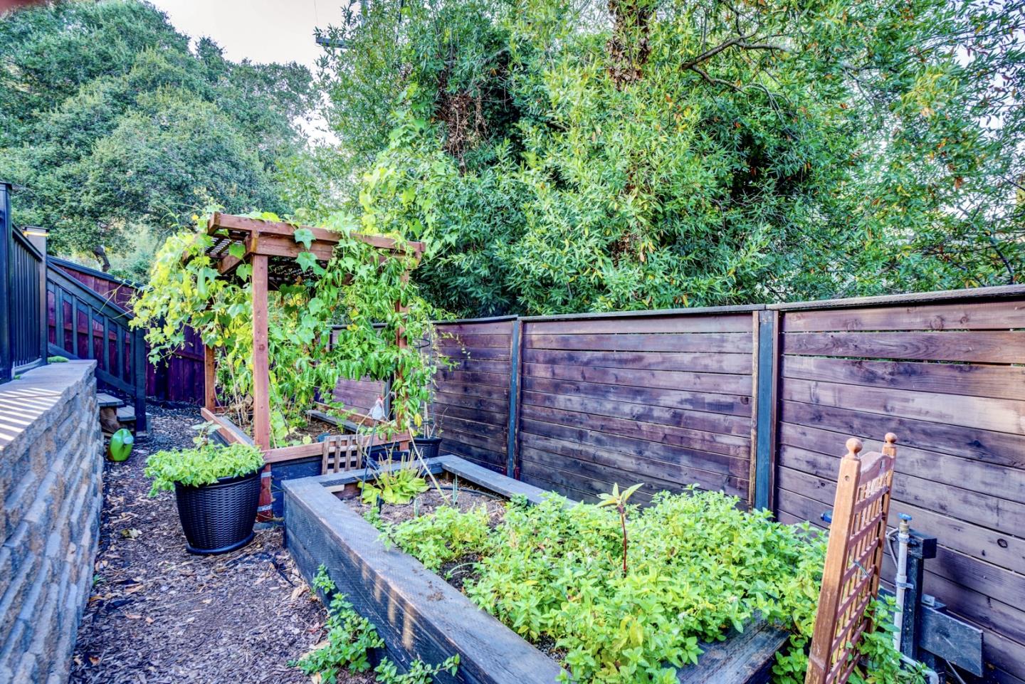 1112 Millbrae Avenue Millbrae, CA 94030 - Photo 92 of 100 a view of a backyard with plants