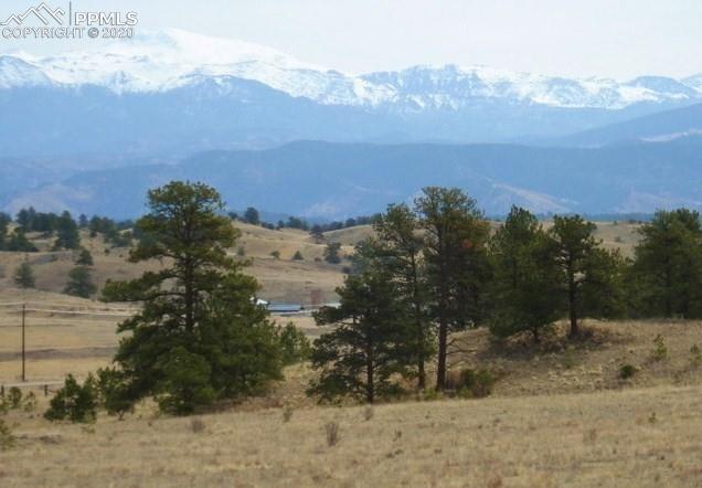 10882 Witcher Mountain Road Guffey, CO 80820 - Photo 2 of 27