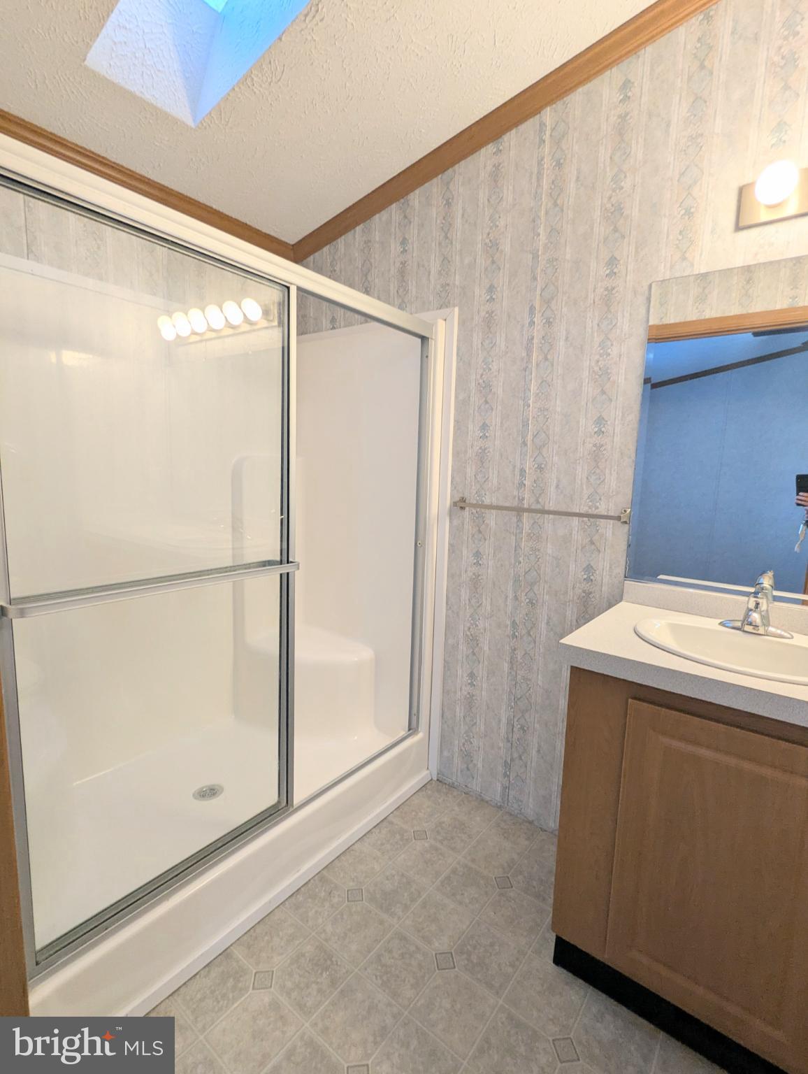 107 Trailway Road Middle River, MD 21220 - Photo 18 of 29 Bright primary bathroom with skylight.