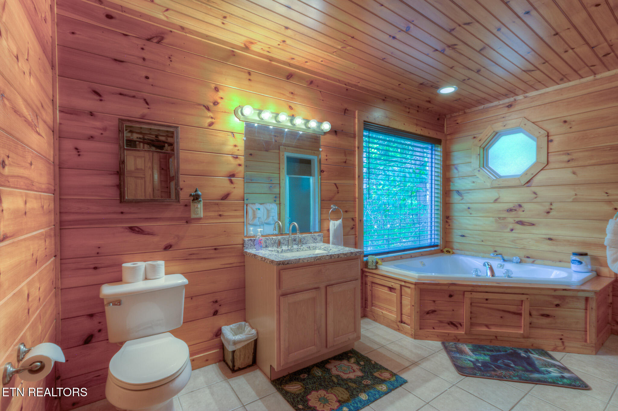 3810 Old Mountain Road Sevierville, TN 37876 - Photo 17 of 46 17