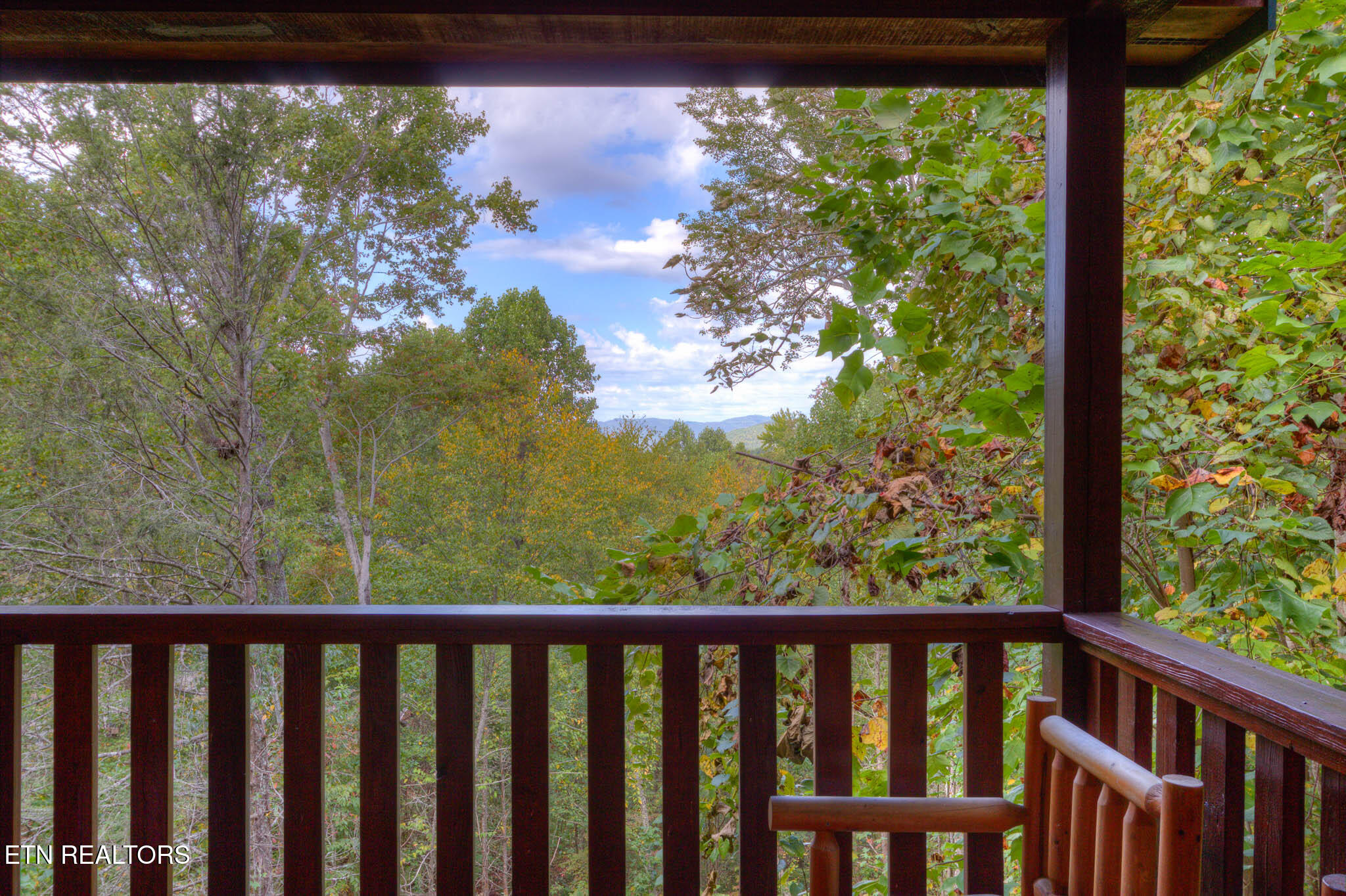 3810 Old Mountain Road Sevierville, TN 37876 - Photo 21 of 46 21