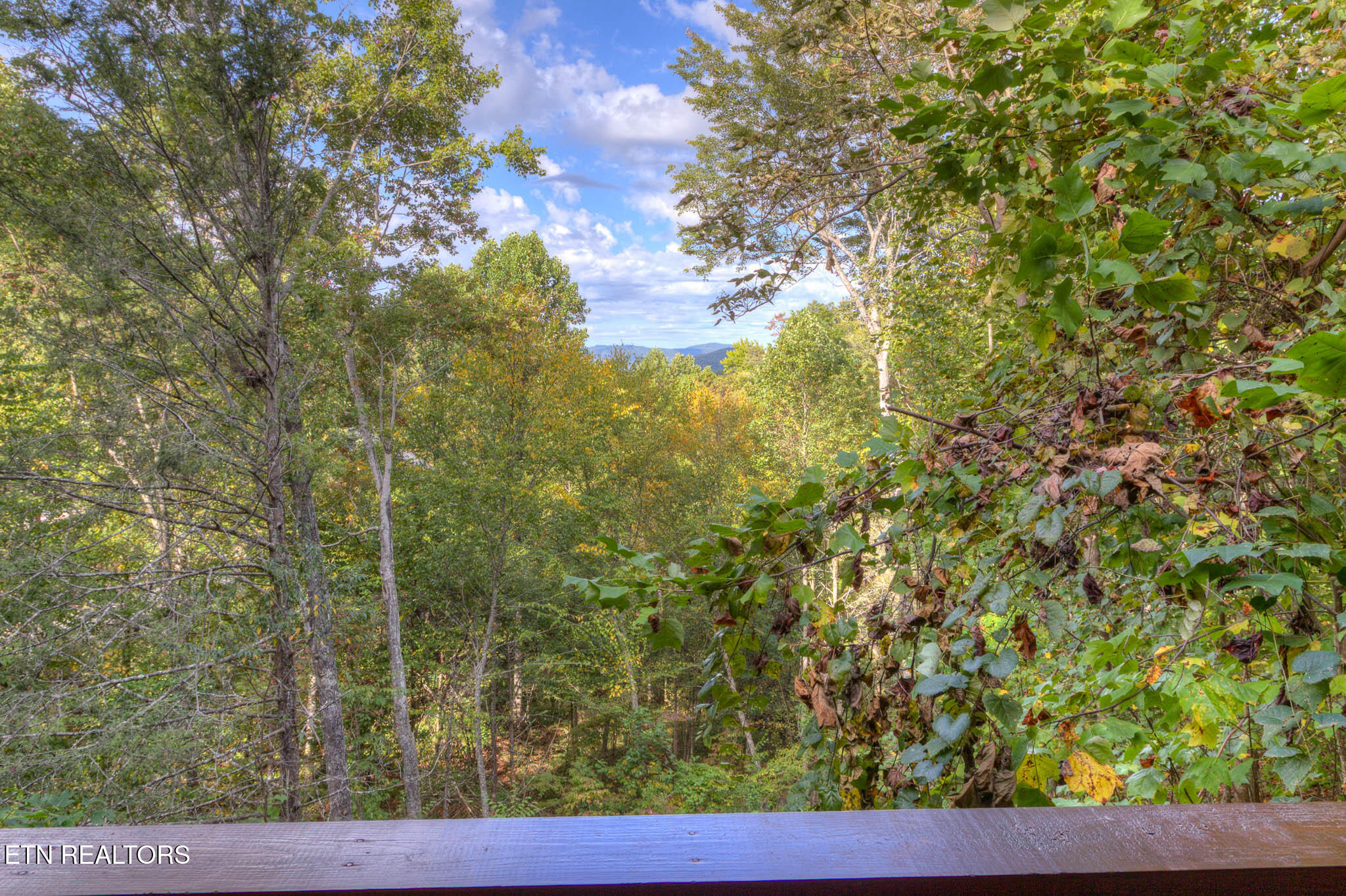 3810 Old Mountain Road Sevierville, TN 37876 - Photo 24 of 46 24