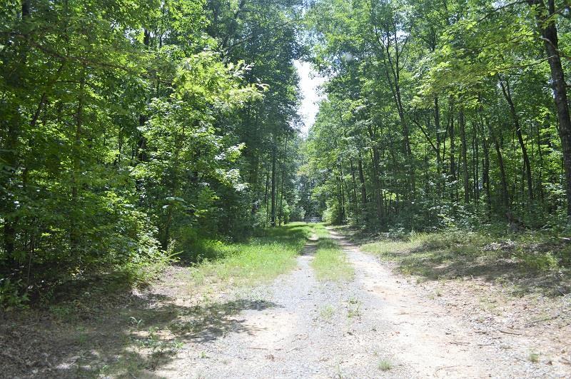 0 Deer Run Road, Unit 245 Altamont, TN 37301 - Photo 2 of 6 This gorgeous property is in a very priv