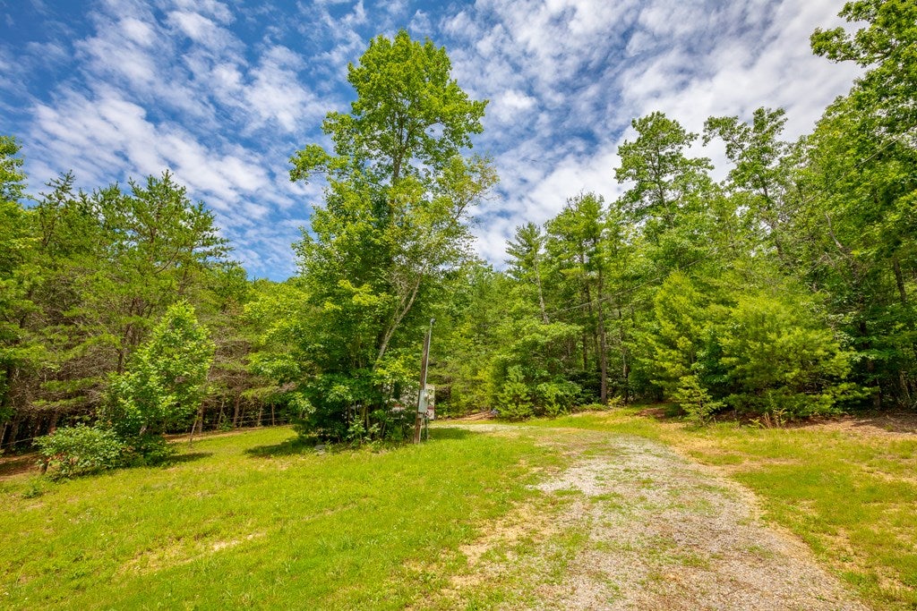 474 Scratch Gravel Road, Unit 96 Ivanhoe, VA 24350 - Photo 2 of 75 Gallery Image 2