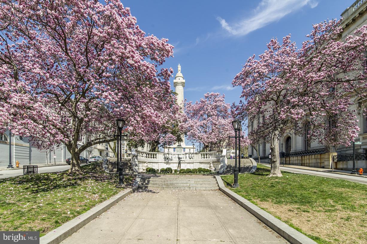 1209 North Charles Street, Unit 304 Baltimore, MD 21201 - Photo 34 of 37 a view of yard with tree in the background