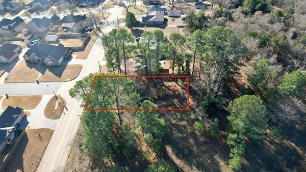 a view of a yard with plants and large trees