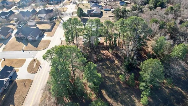 a yard with lots of trees