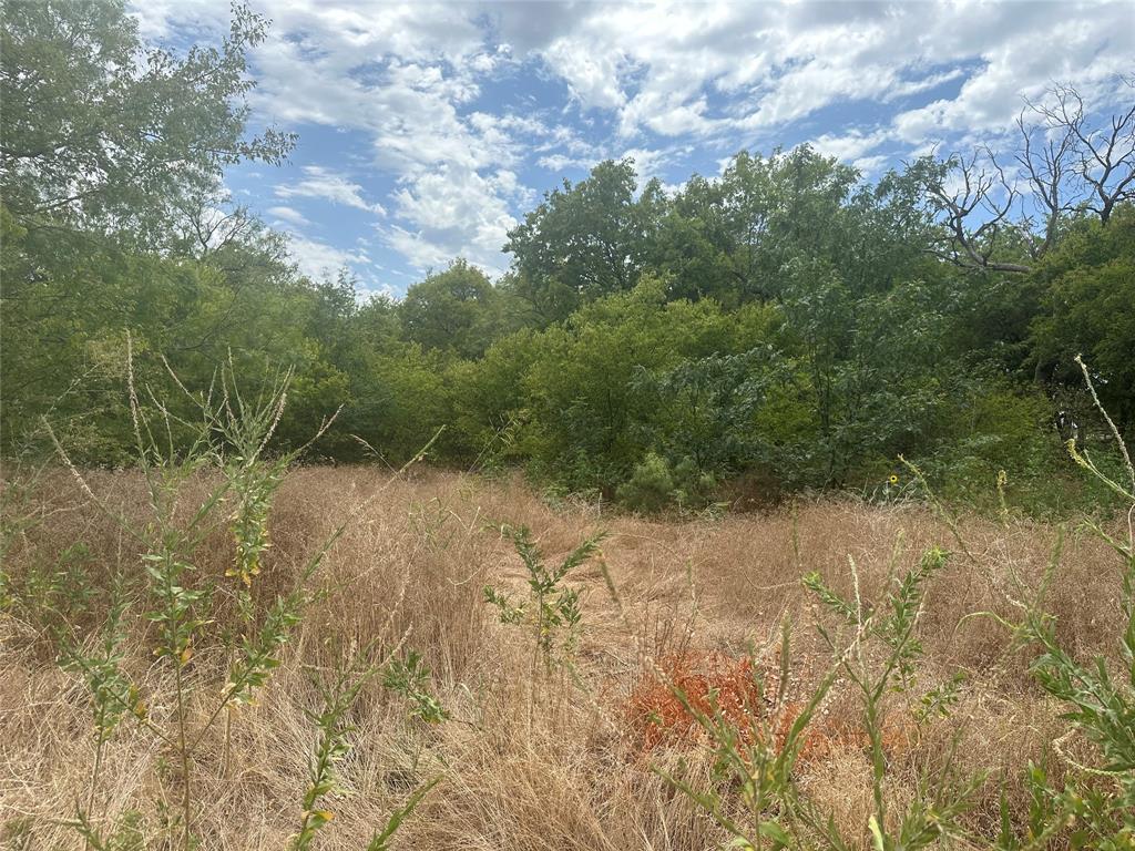 1150 East Seeton Road Grand Prairie, TX 75054 - Photo 11 of 13 View of nature