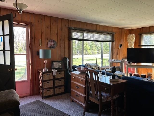 4355 Owl Road Lincoln, MI 48742 - Photo 21 of 60