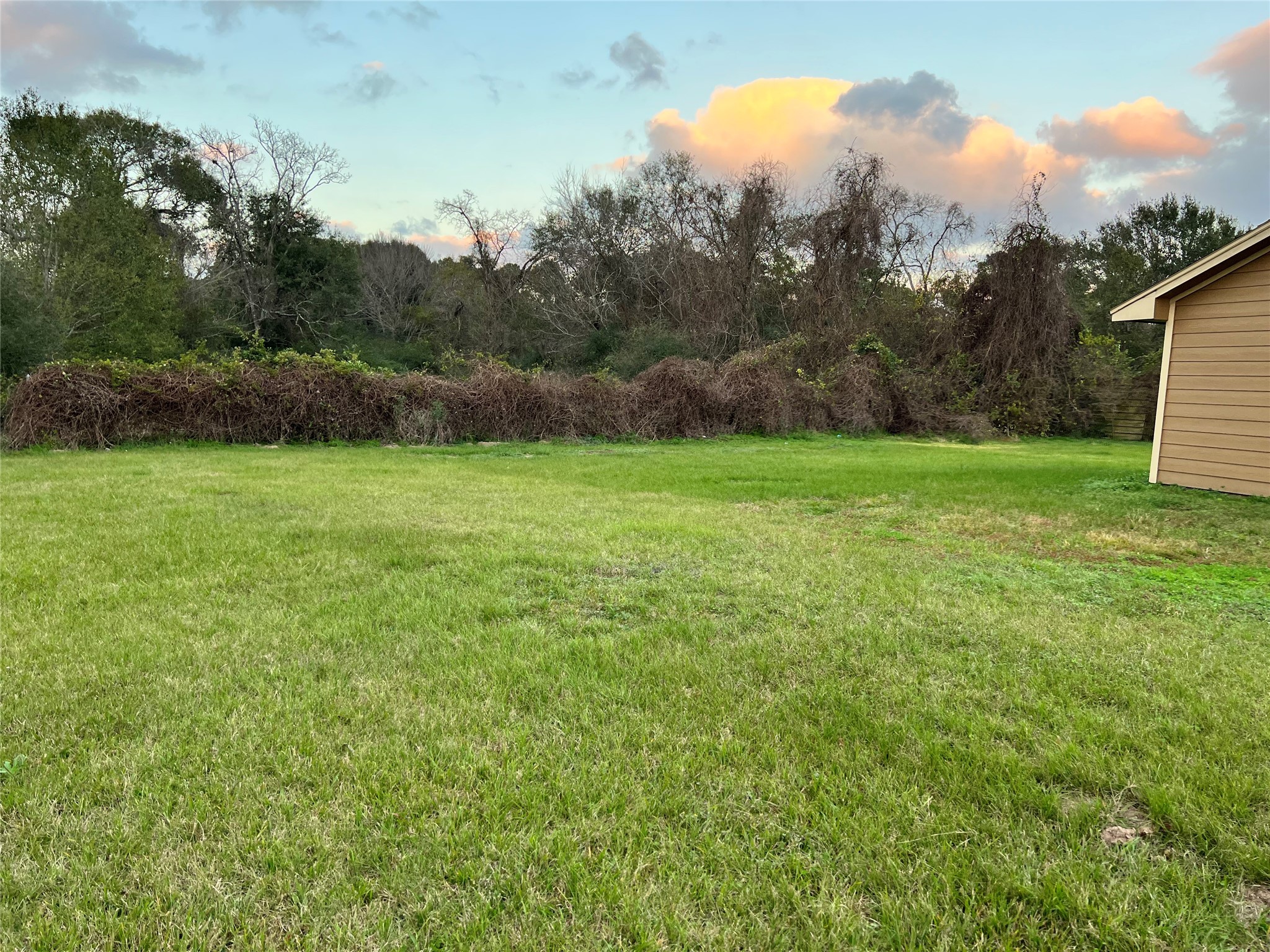 18240 Fenske Road Cypress, TX 77433 - Photo 19 of 20 a view of grassy field with trees in the background
