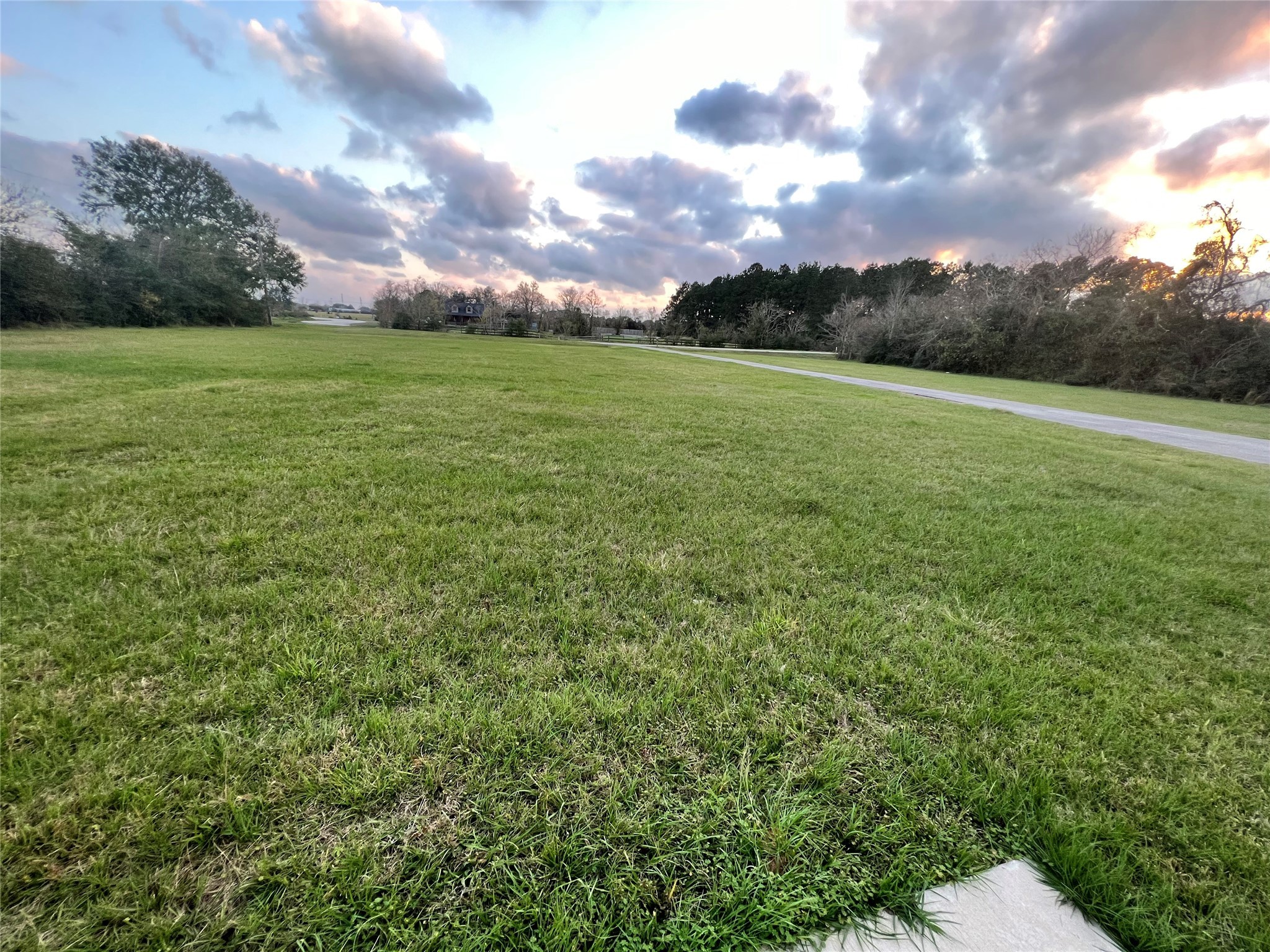 18240 Fenske Road Cypress, TX 77433 - Photo 20 of 20 a view of a big yard with plants and large trees