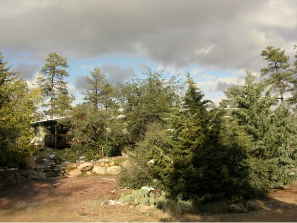 1788 Idylwild Hill Road Prescott, AZ 86305 - Photo 4 of 5 a view of a yard