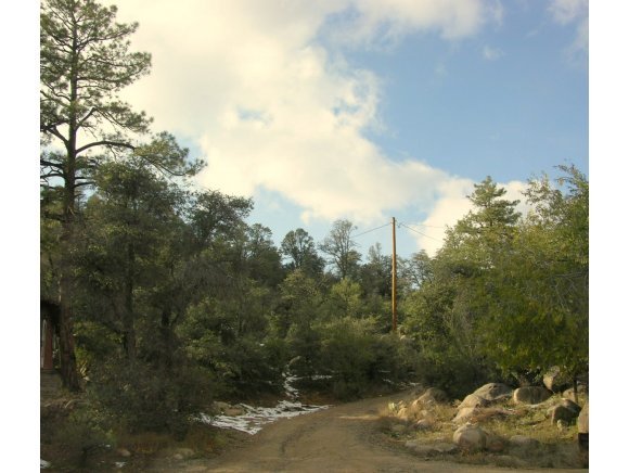 1788 Idylwild Hill Road Prescott, AZ 86305 - Photo 5 of 5 a view of a yard