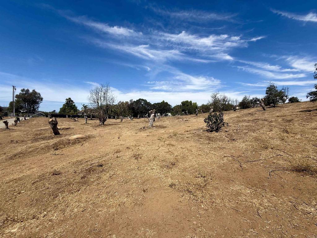 Canyon Heights Road Fallbrook, CA 92028 - Photo 7 of 26 Gallery Image 7