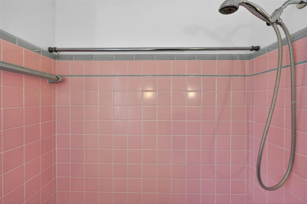 1739 Turner Street Clearwater, FL 33756 - Photo 32 of 72 a bathroom with a shower and a bathtub