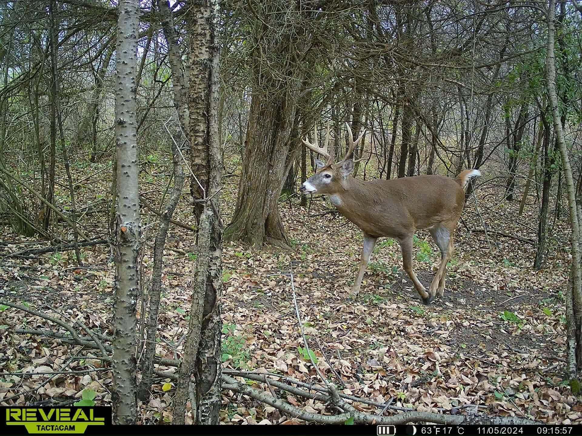 5121 Skuse Road Osseo, MI 49266 - Photo 2 of 32 sk29