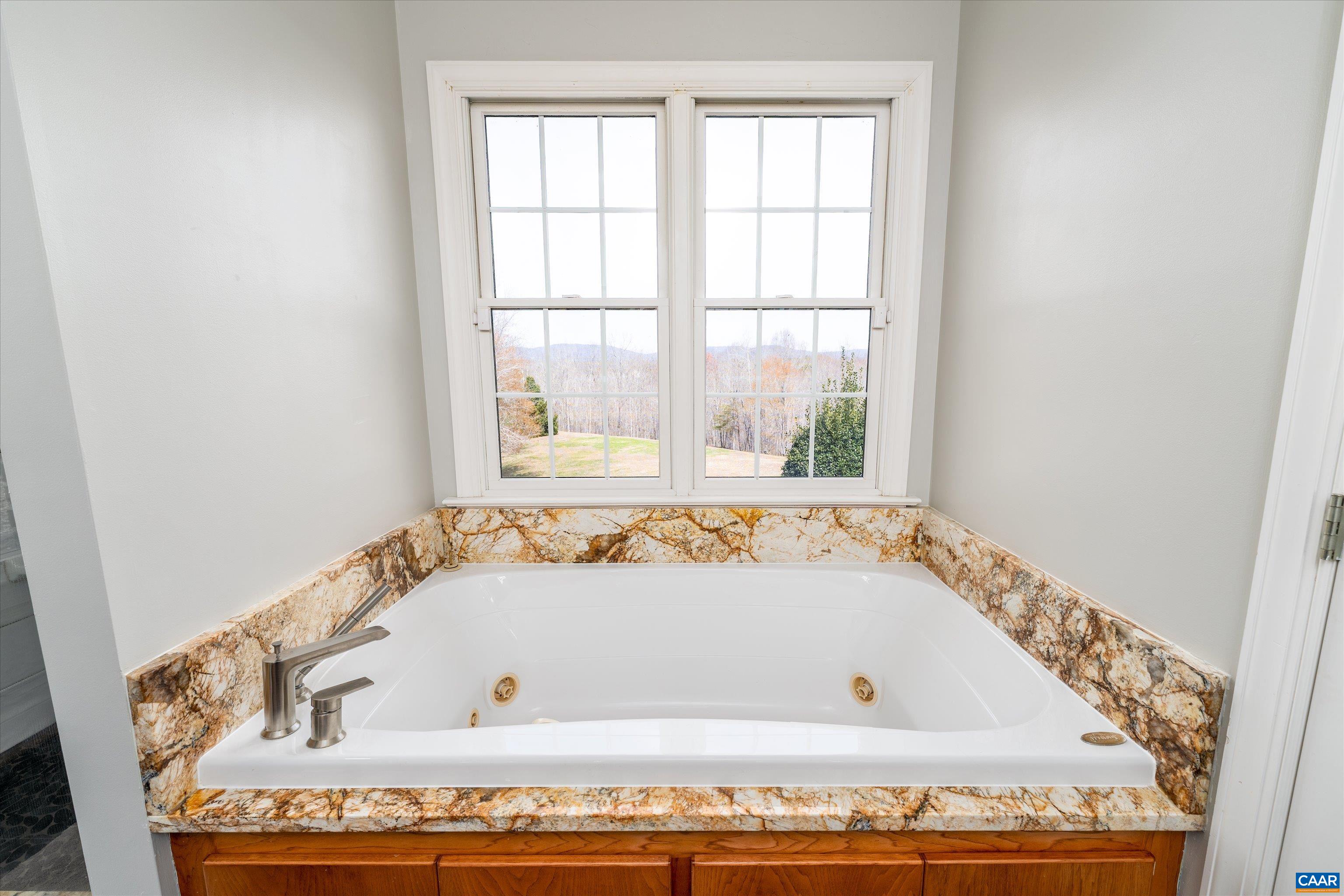 4444 Woods Edge Road Troy, VA 22974 - Photo 42 of 74 a bath tub sitting next to a window