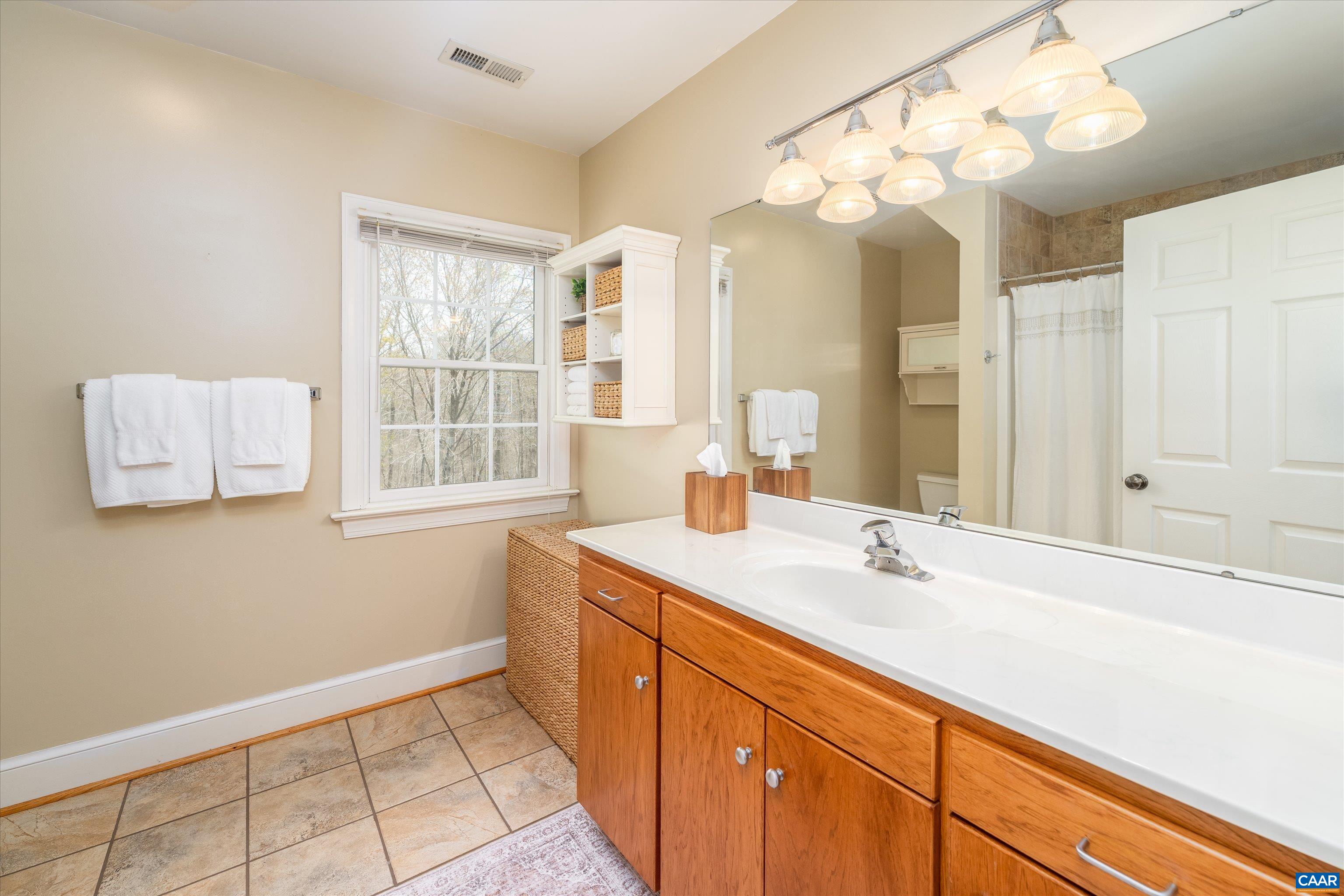 4444 Woods Edge Road Troy, VA 22974 - Photo 54 of 74 a bathroom with a sink vanity and a mirror