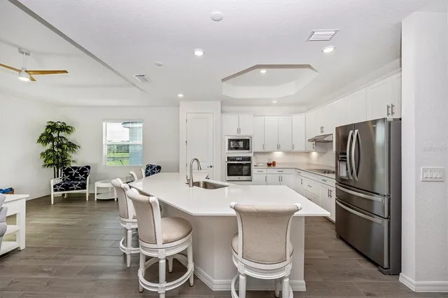 a living room with furniture a rug and a potted plant