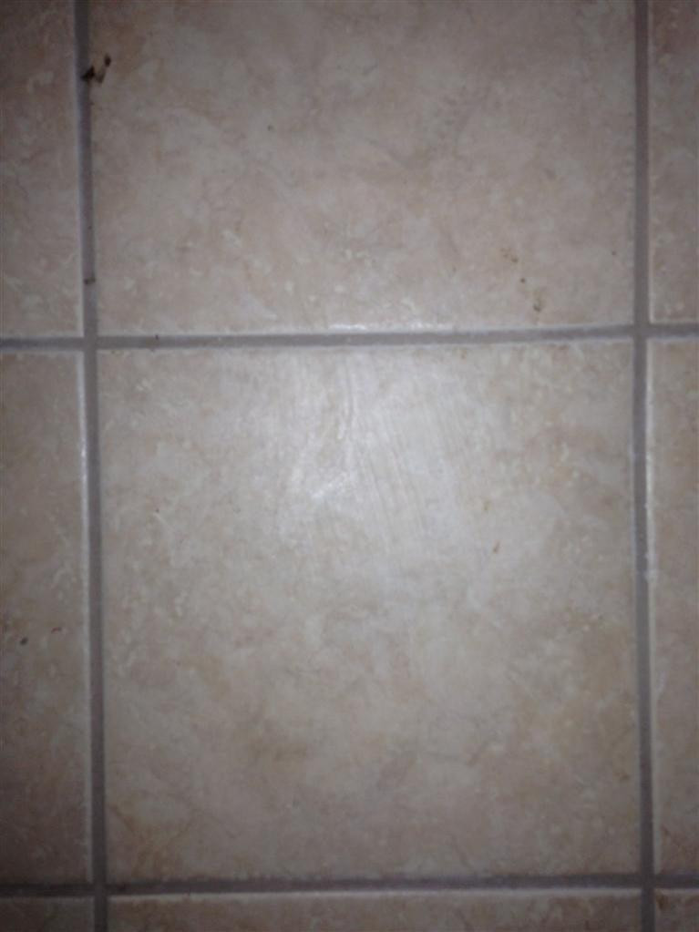 1637 Brassfield Road Richmond, KY 40475 - Photo 20 of 35 Photo 20