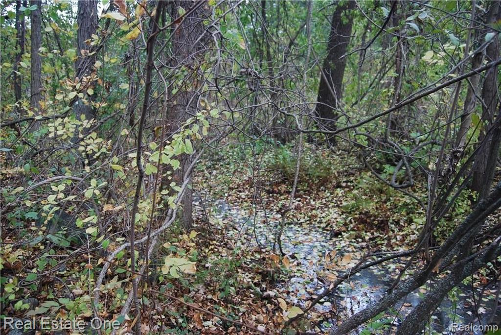 V/l Perry Lake Road Ortonville, MI 48462 - Photo 26 of 30 Gallery Image 26
