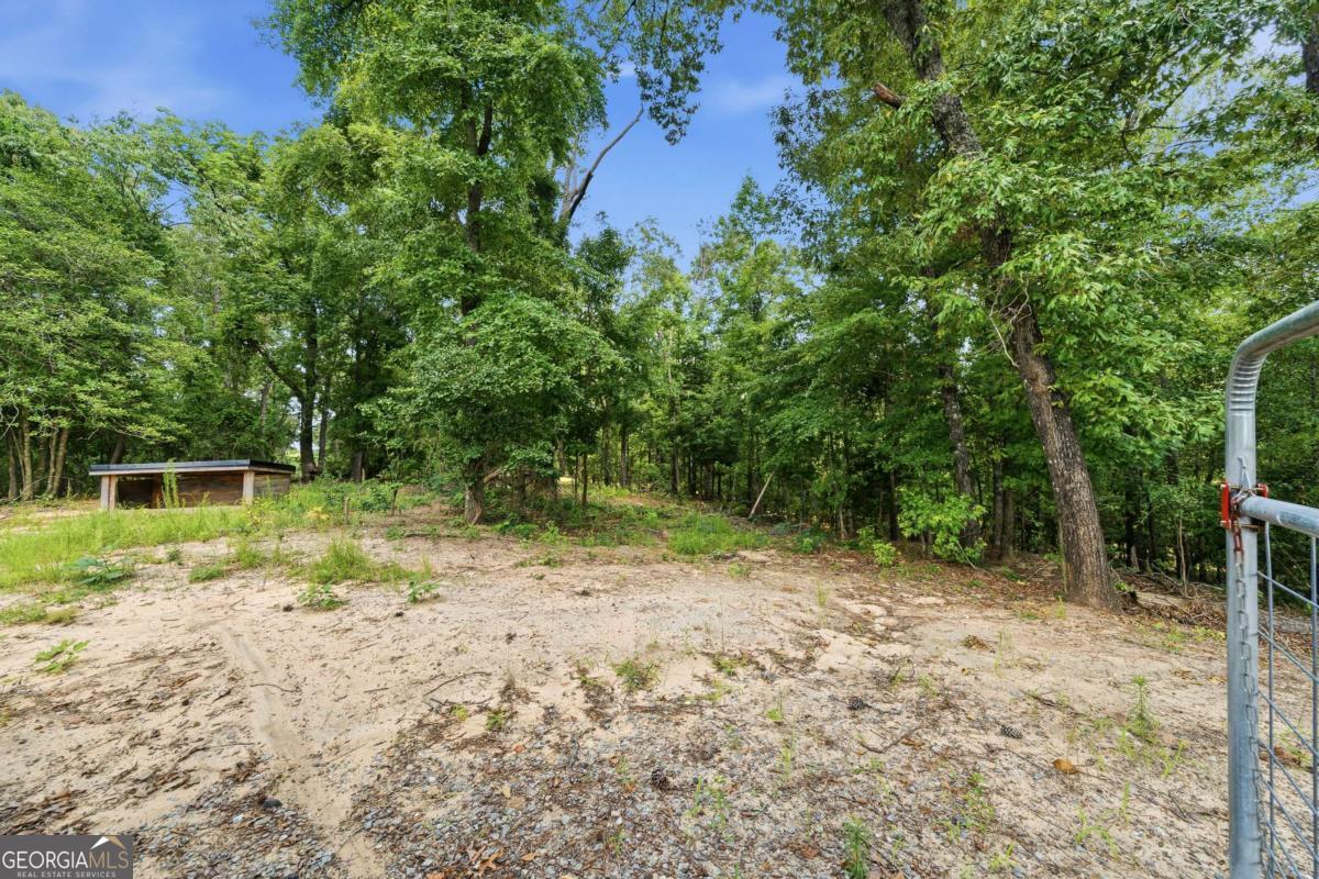 390 Dedrick Road McIntyre, GA 31054 - Photo 55 of 63