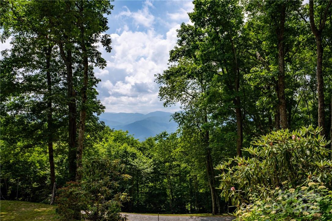 99999 Parris Branch Road, Unit 16 A B C Sylva, NC 28779 - Photo 12 of 12 a view of a yard with plants and trees