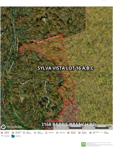 a view of a lush green forest with lots of trees