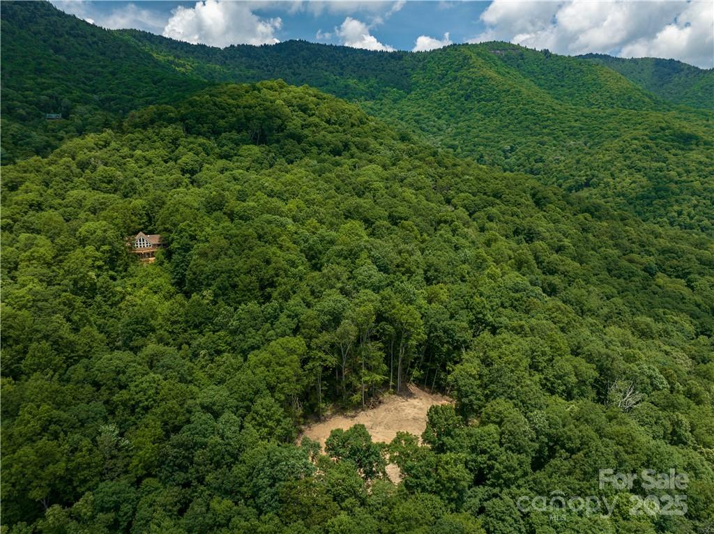 99999 Parris Branch Road, Unit 16 A B C Sylva, NC 28779 - Photo 5 of 12 a view of a lush green forest with lots of trees