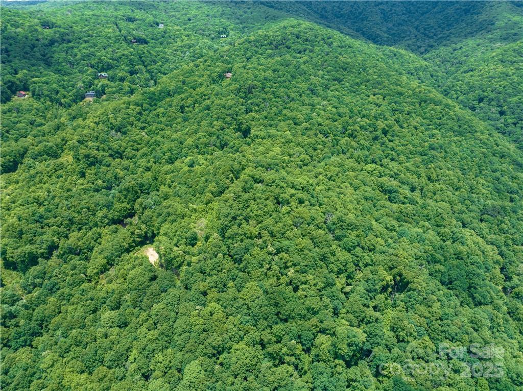 99999 Parris Branch Road, Unit 16 A B C Sylva, NC 28779 - Photo 6 of 12 a view of a lush green forest