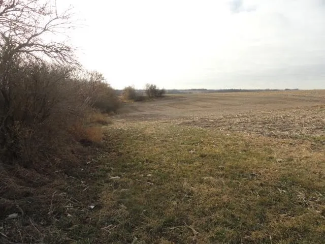 $245,000 | 5-acres Blue Rock, Mount Horeb, WI 53572
