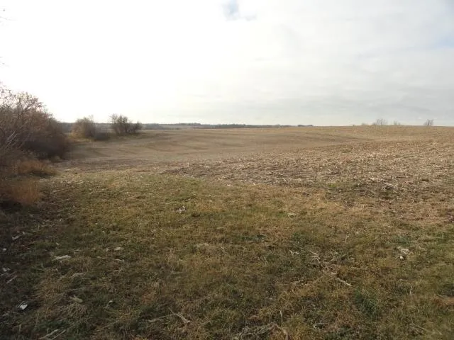 $245,000 | 5-acres Blue Rock, Mount Horeb, WI 53572