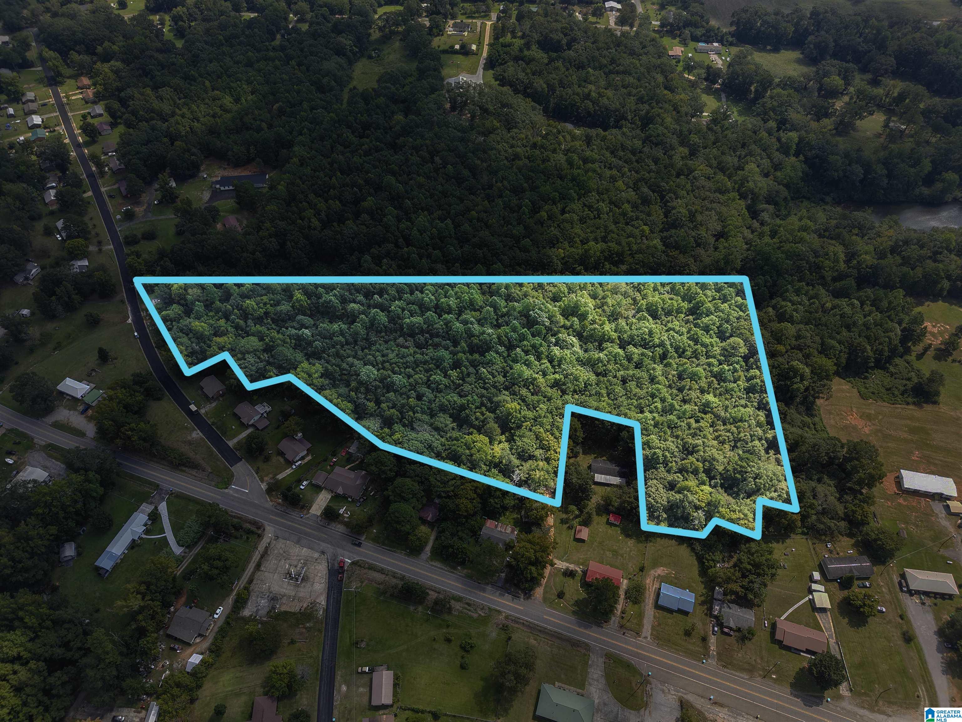 0 Sycamore Street, Unit 1 Jemison, AL 35085 - Photo 4 of 25