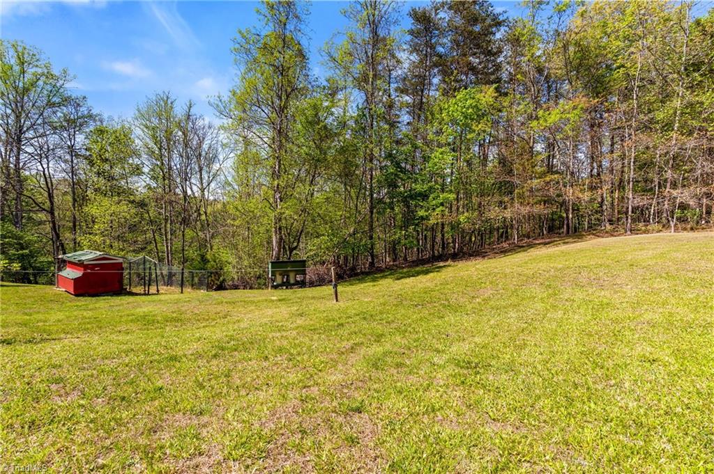 1747 Lynchburg Road Westfield, NC 27053 - Photo 43 of 49