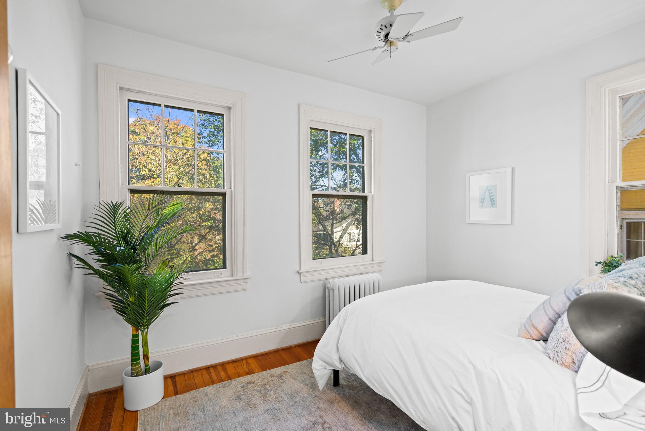 3214 Newark Street Northwest Washington, DC 20008 - Photo 24 of 38 a bedroom with a large bed and a potted plant