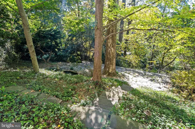 a backyard of a house with lots of green space