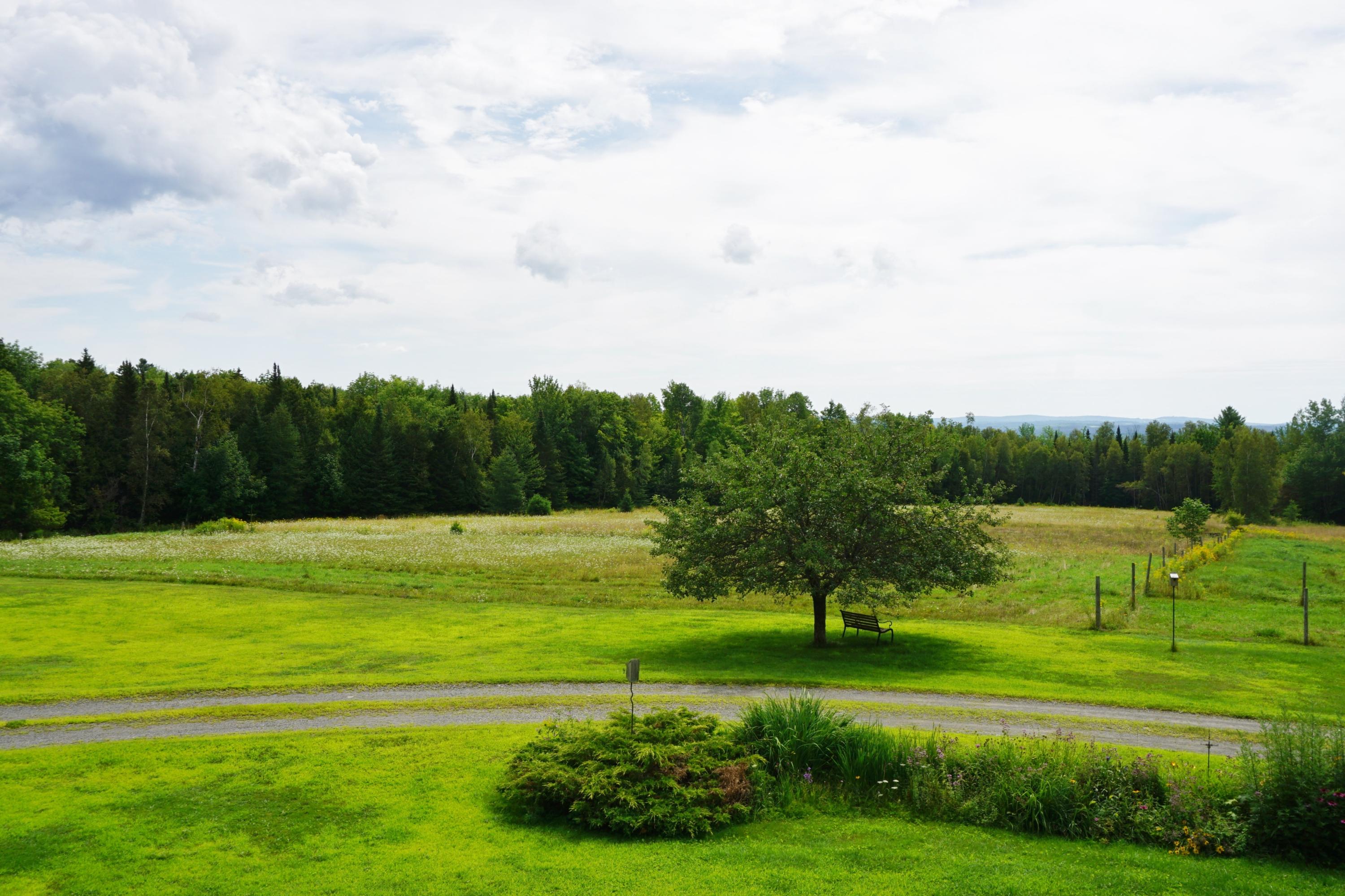 205 Bolton Road Dover-Foxcroft, ME 04426 - Photo 3 of 26 DSC01527