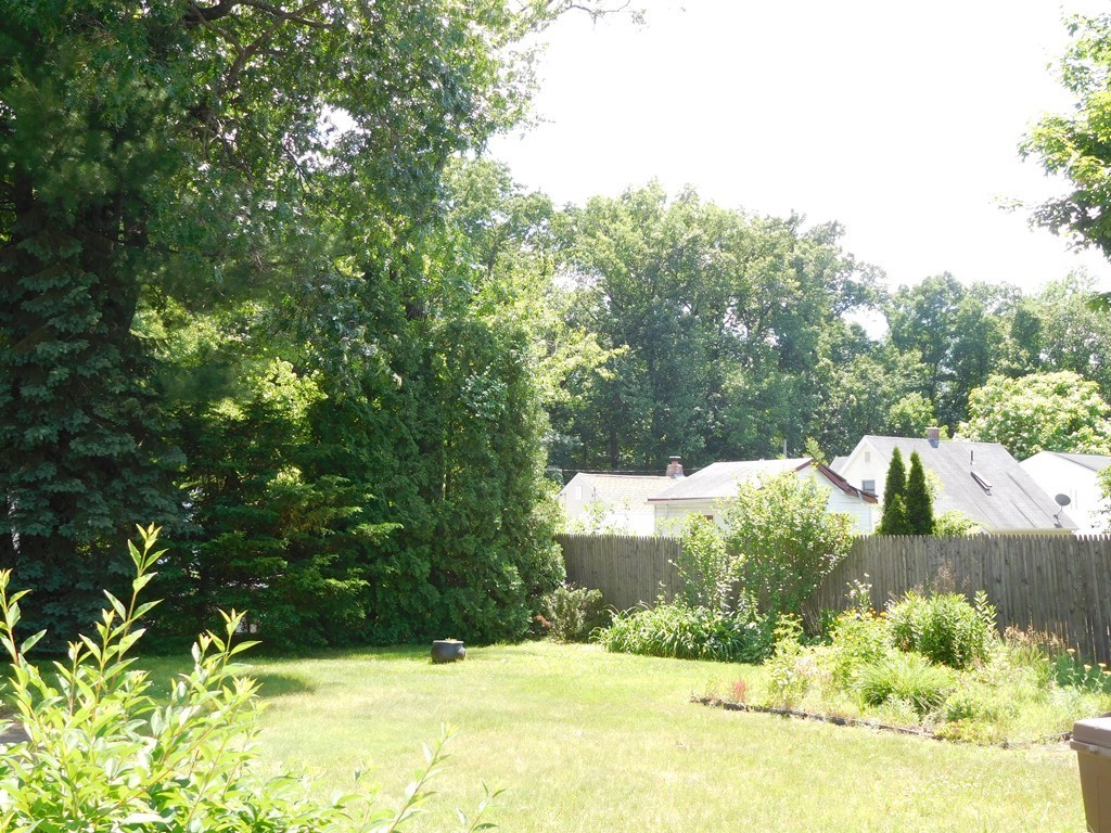 30 Elizabeth Street Springfield, MA 01109 - Photo 3 of 19 a view of a garden with a bench
