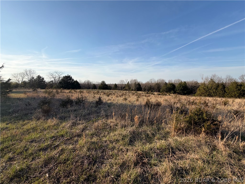 184 State Park Road Brumley, MO 65017 - Photo 82 of 100 Upper Field