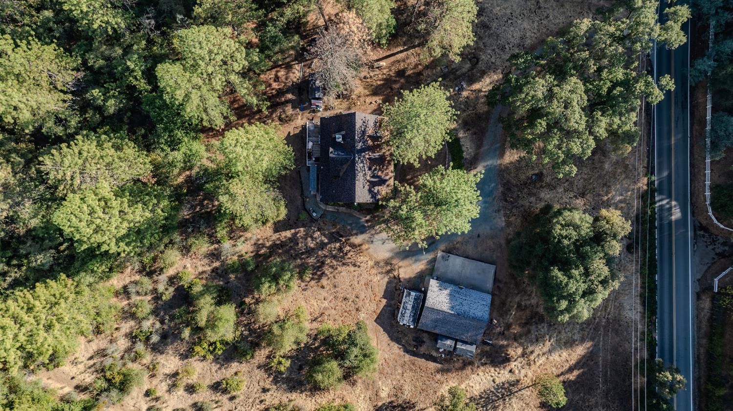 12810 New York Ranch Road Jackson, CA 95642 - Photo 12 of 56 an aerial view of a house with a yard and large tree